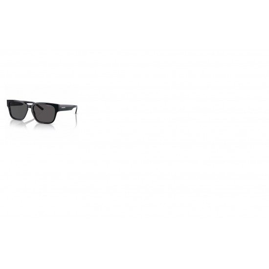 ARNETTE AN4294 121487 TYPE Z ARNETTE AN4294 121487 TYPE Z
